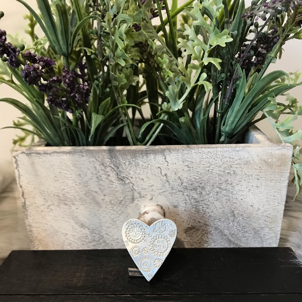 🆕 Vilamin solid Cosmic heart